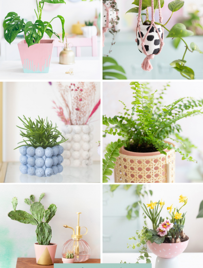 DIY-kreative-ausgefallene-ideen-rund-um-pflanzen-besondere-pflanzenideen